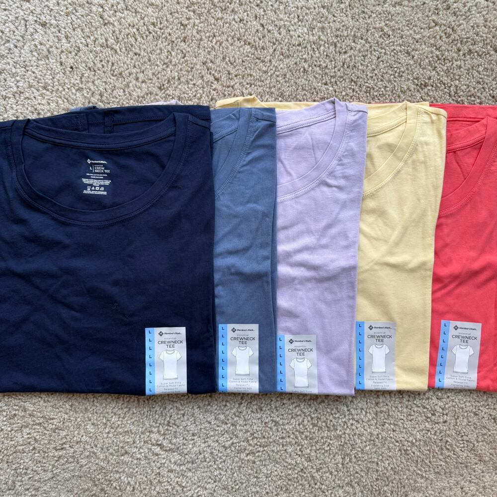 NWT Basic Crewneck Tee Set of 5 Womens L Relaxed Fit Spring Summer